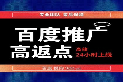 某电商平台的SEM优化托管实践与效果评估